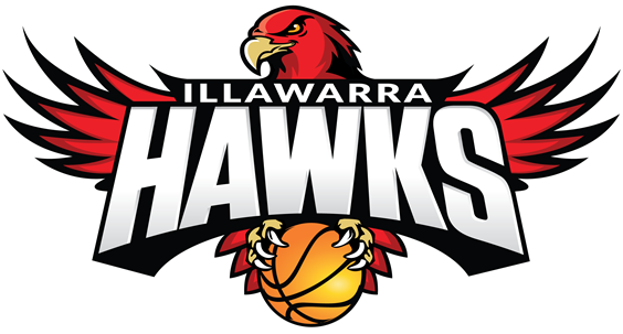 Illawarra Hawks 2015-Pres Primary Logo iron on heat transfer